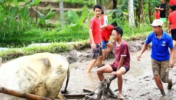6 Desa Wisata di Sleman Menawarkan Pemandangan Indah dan Pengalaman Unik