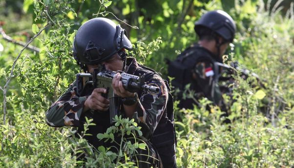 Mengenal Satgas Tinombala, Prajurit Khusus yang Bertugas Buru Kelompok Mujahiddin Indonesia Timur