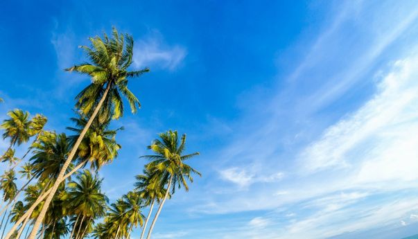 Pantai Di Kalimantan Timur yang Dijamin Betah Berlama-lama
