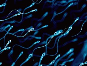 Peneliti Sebut Covid-19 Dapat Turunkan Jumlah Sperma