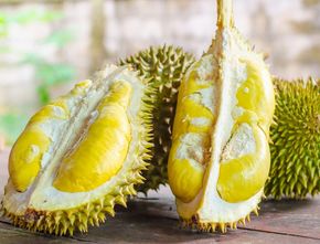 Raja Durian Jogja: Tempat Favorit Bagi Pecinta Durian yang Tak Kenal Musim