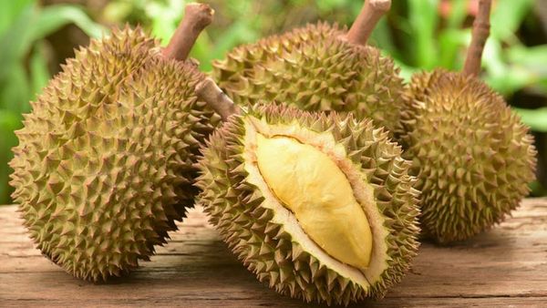 Fakta Menarik Buah Durian, Selain Nikmat Juga Bermanfaat!