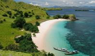 Tidak Hanya Indah di Permukaan, Pantai Celukan Bawang, Bali Kaya akan Biota Laut