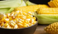 Segudang Manfaat Jagung untuk Makanan Bayi