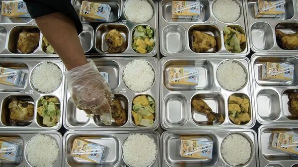 Usulan Serangga Jadi Menu Makan Bergizi Gratis, DPR: Perlu Kajian Mendalam