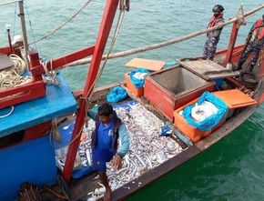 Berita Kriminal: 2 Kapal Ikan di Aceh Timur Diamankan TNI AL, Ilegal dan Gunakan Jaring Pukat