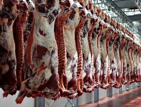 Jelang Puasa, 20 Ribu Ton Daging Kerbau Impor Bakal Masuk ke Indonesia