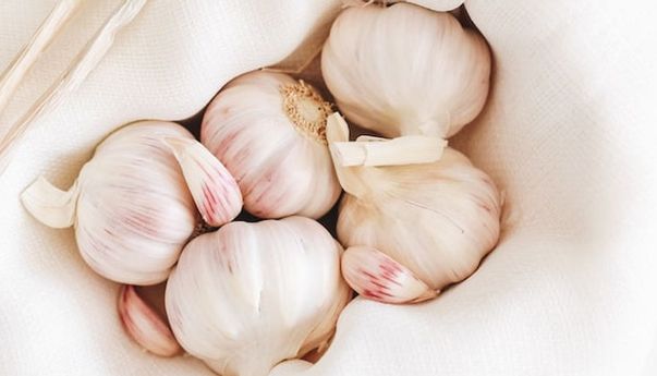 Begi Pemula, Begini Cara Mudah Menanam Bawang Putih di Rumah
