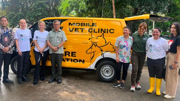 Klinik Keliling untuk Kuda Delman Diluncurkan di Jakarta Tangani Masalah Malnutrisi dan Luka