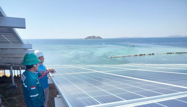 Pengembangan PLTS Terapung di Papua: Potensi Besar Energi Terbarukan untuk Masa Depan