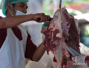 Viral Melimpahnya Hewan Kurban Dusun Krajan, 25 Ton Daging Disalurkan ke 7 Kabupaten