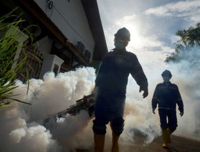 2 Anak Meninggal Dunia, Dompu NTB Tetapkan Kejadian Luar Biasa Demam Berdarah