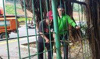 Pemkot Jaktim Tutup Permanen Pintu Hutan Kota UKI yang Diduga Jadi Tempat Mesum Kaum LGBT