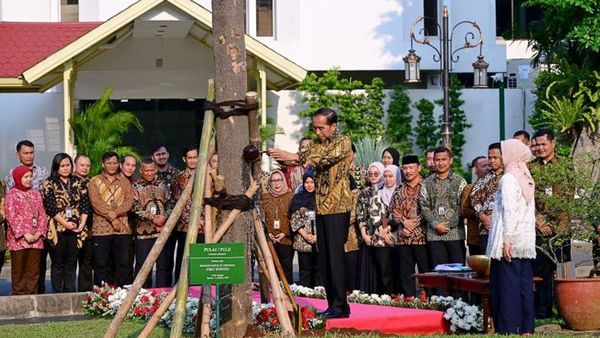 Jelang Purnatugas, Jokowi dan Iriana Tanam Pulai dan Flamboyan di Halaman Istana Jakarta