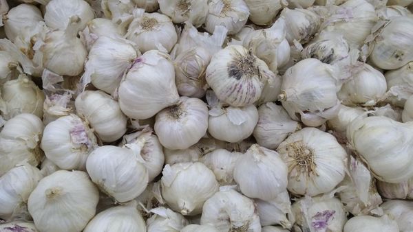 Harga Bawang Putih Meroket, dari Rp5.410 Jadi Rp47.520 per Kilo