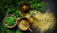 Ragam Manfaat Daun Kelor untuk Kecantikan, Salah Satunya Cegah Penuaan Dini