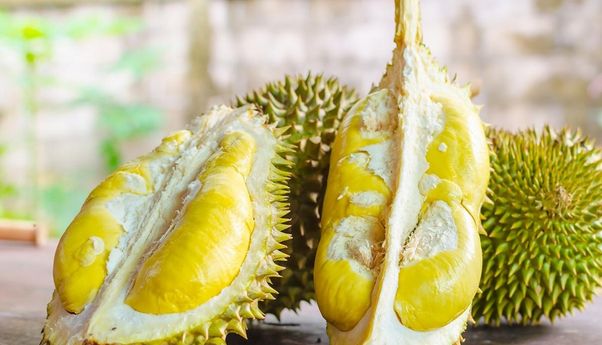 Raja Durian Jogja: Tempat Favorit Bagi Pecinta Durian yang Tak Kenal Musim