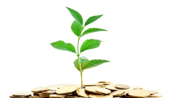 Keuntungan Investasi Reksadana Syariah yang Menggiurkan