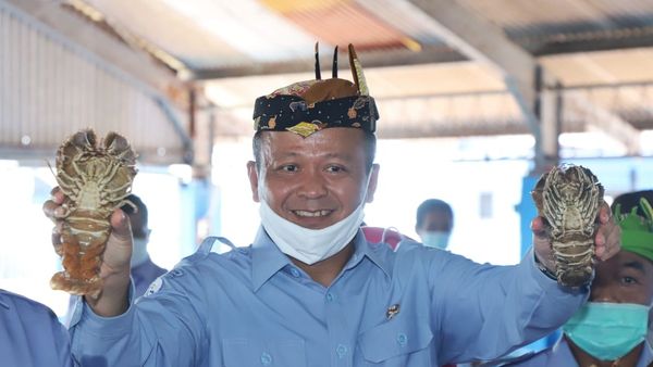 Mengejutkan! Dahulu Edhy Prabowo Sebut Permen Ekspor Benih Lobster Demi Senyum Para Nelayan