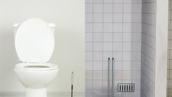 Dapatkan Lebih Banyak Manfaat Kesehatan dari Toilet Jongkok Dibanding Toilet Duduk