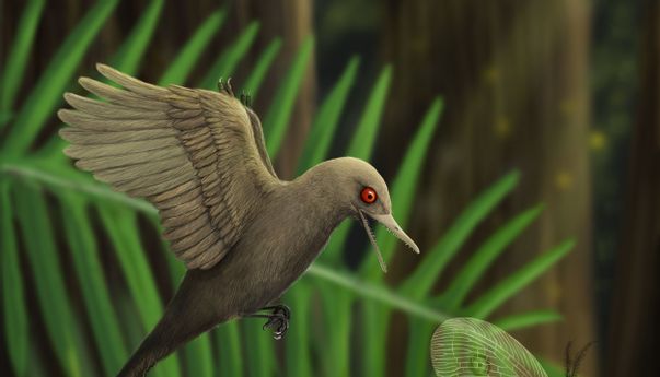 Para Ilmuwan Menemukan Dinosauraus Terkecil Terjebak di Pohon Damar