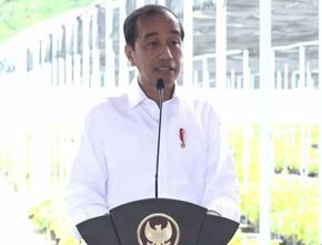 Jokowi Resmikan Persemaian Mentawir di Penajam Paser Utara, Bantu Penghijauan di IKN