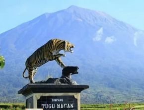 Gunung Kerinci Erupsi, Warga Sekitar Diimbau Pakai Masker Cegah Hirup Abu