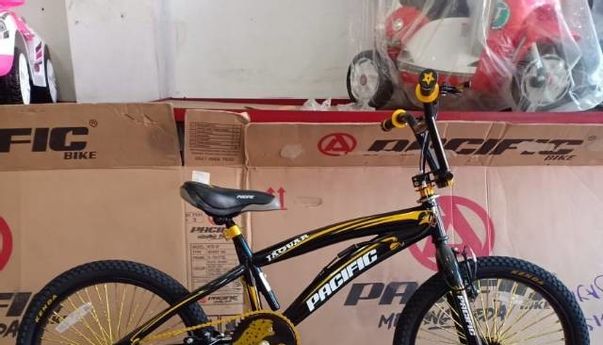 5 Sepeda BMX Asli Terbaik di Indonesia