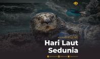 Hari Laut Sedunia