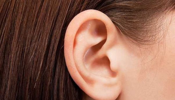 Mengenal Lebih Dalam Bagian Bagian Telinga dan Fungsinya