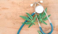 Guru Besar Farmasi UGM Say No Soal Legalisasi Ganja untuk Medis, Ternyata Ini Alasannya