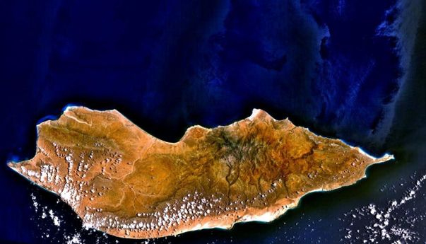 Mengintip Keanehan Pulau Socotra di Yaman, Pulau yang Konon Dihuni Dajjal