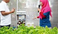 Omzet Ratusan Juta, Kelompok Wanita Tani Binaan PLN Olah Sampah Jadi Smart Farming