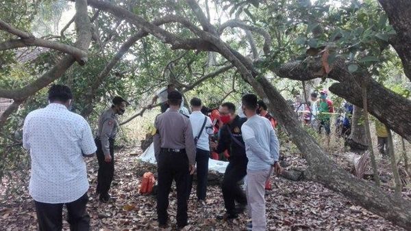 Berita Terbaru di Jogja: Lagi! Pria Asal Kulon Progo Ditemukan Gantung Diri di Pohon Sawo