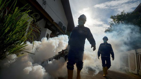 2 Anak Meninggal Dunia, Dompu NTB Tetapkan Kejadian Luar Biasa Demam Berdarah