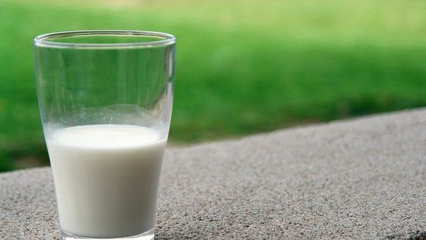 Benarkah Susu dapat Netralisir Racun dalam Tubuh?