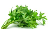 Selain sebagai Penyedap Aroma Masakan, Ternyata Seledri Juga baik untuk Penderita Darah Tinggi