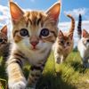 Mengenal Pulau Kucing di Jepang, Surga Bagi Pecinta Kucing