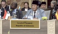 Serukan Gencatan Senjata Segera di Gaza, Prabowo: Indonesia Siap Berkontribusi