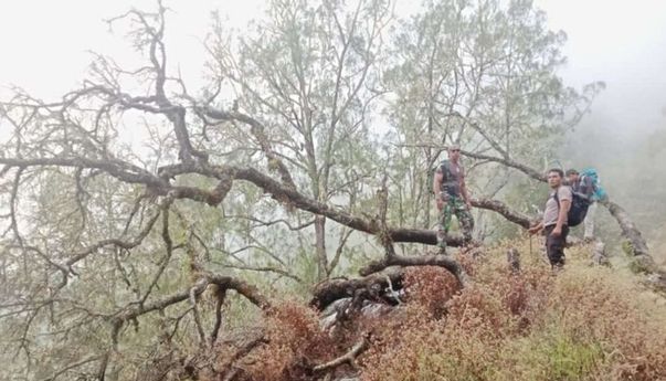 Kebakaran Lahan di Taman Nasional Gunung Rinjani NTB Capai 205 Hektare