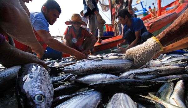Berita Terbaru di Jogja: Klaster Penjual Ikan Karangmojo, Membuat Gua Pindul Belum Dibuka