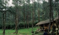 Berburu Udara Segar di Vanaprastha Gedong Songo Park Banyukuning, Semarang