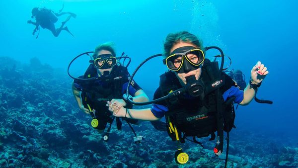 Suka Menyelam? Inilah Spot Diving Terbaik di Bawah Laut Indonesia