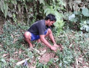 Berita Jogja: Warga Wonorejo Tanam 500 Tumbuhan di Bantaran Sungai Boyong