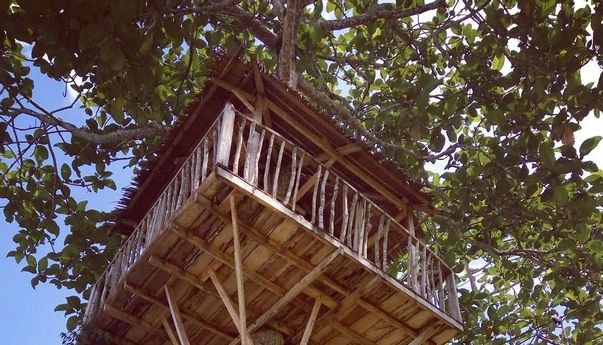 Rumah Pohon Laing Park, Destinasi Wisata Solok Penuh Kesegaran