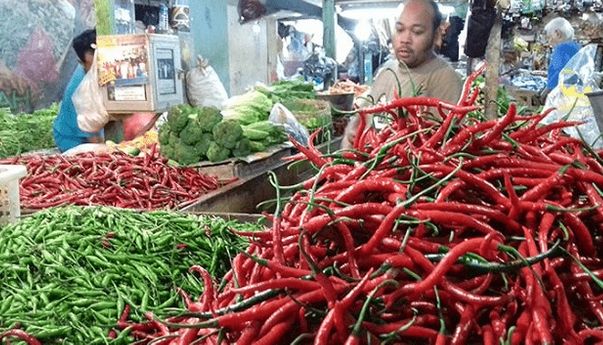 Melonjak Jadi Rp 40 Ribu per Kg, Kian Pedasnya Harga Cabai Rawit Hari ini