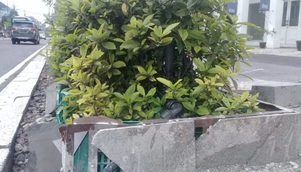 Tak Hanya Guiding Block yang Hilang, Pot Tanaman di Pusat Kota Jogja juga Rusak