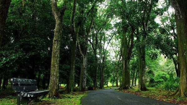 Jalan-Jalan ke Kebun Raya Purwodadi Pasuruan
