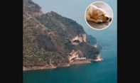 Viral Gunung di China Mirip Kepala Anjing, Langsung Jadi Destinasi Wisata Baru