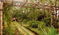 Kampung 99 Pepohonan, Wisata Keluarga Depok Tema Alam dengan Udara Segar Luar Biasa